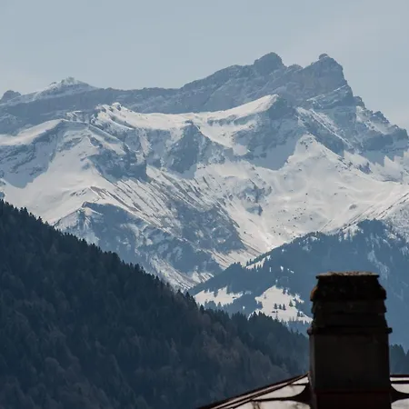 Cosy Et Calme Au Coeur De Lägenhet Leysin