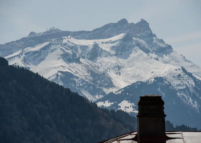 Cosy Et Calme Au Coeur De Lejlighed Leysin
