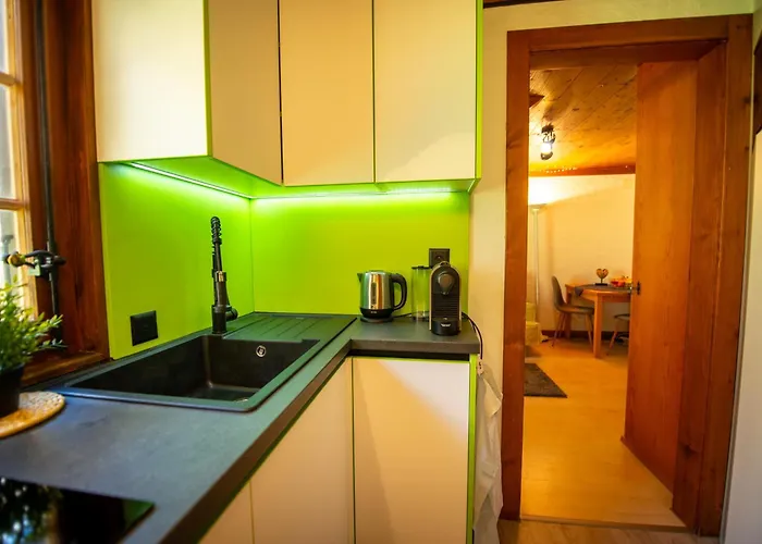 Cosy Et Calme Au Coeur De * Leysin