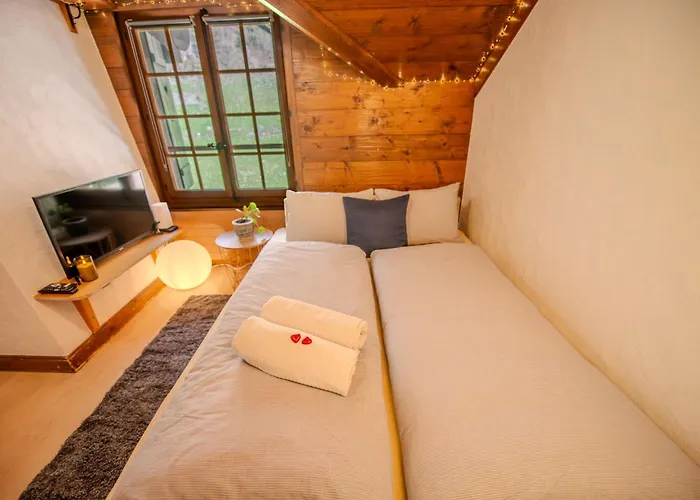 Cosy Et Calme Au Coeur De 아파트